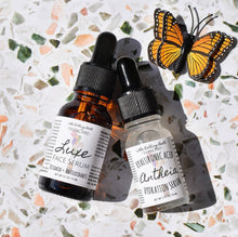 Load image into Gallery viewer, 'Start Me Up' Bundles