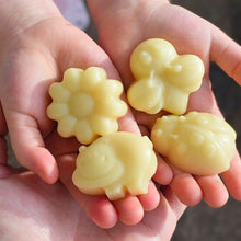 Load image into Gallery viewer, Rhoslyn’s Earth Pals Bath Melts