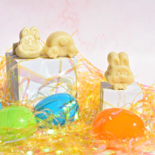 Load image into Gallery viewer, Rhoslyn’s Earth Pals Bath Melts
